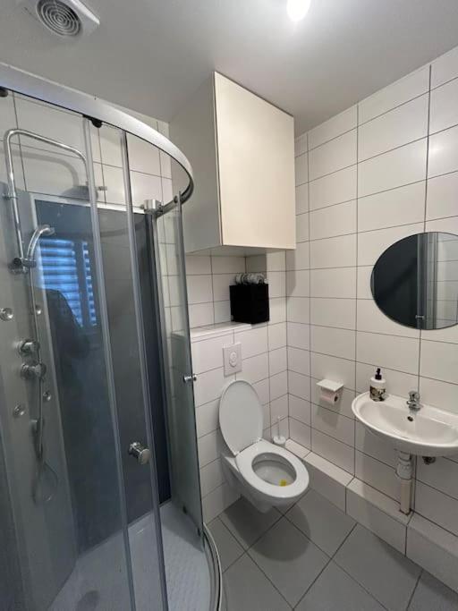 Studio Proche Du Centre-Ville Strasbourg Ngoại thất bức ảnh